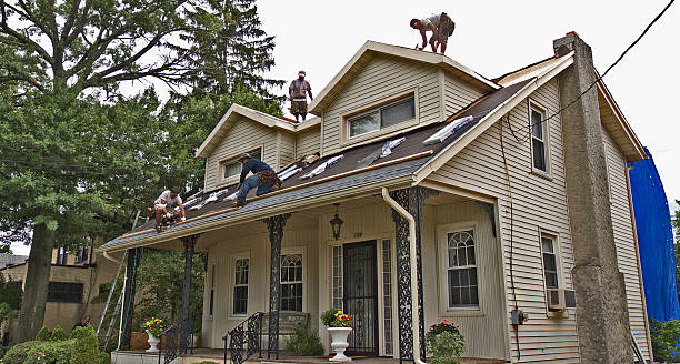 Best Roof Repair Services  in Stinnett, TX